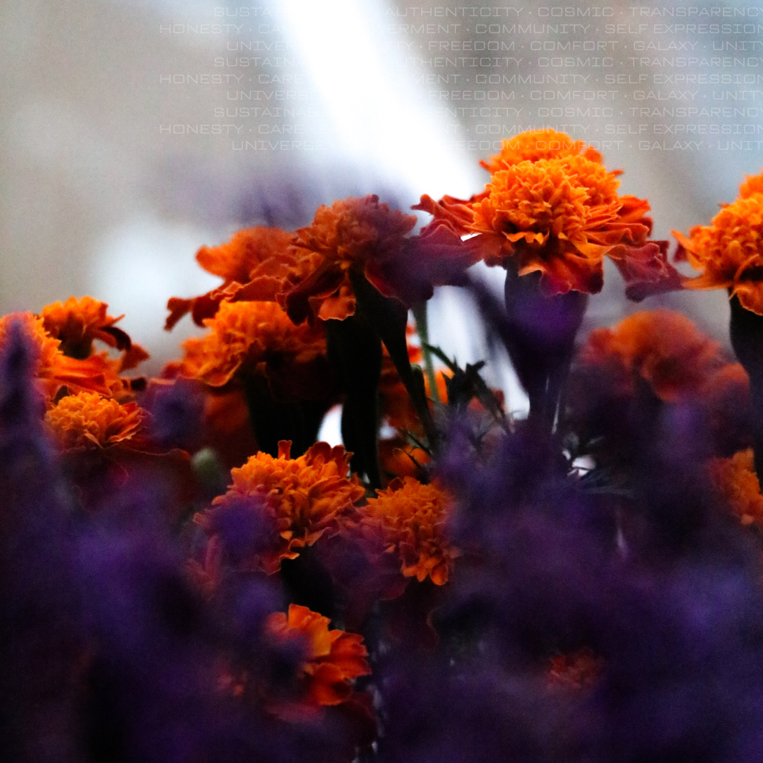 The Environmental Impact of Fast Fashion and How to Avoid It